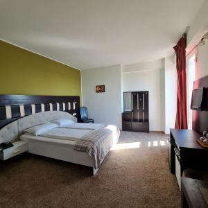 克拉约瓦悉尼酒店的一间设有一张大床的卧室,位于带绿色墙壁的房间