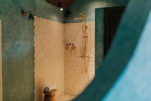 巴纳德城堡Runa Farm的带淋浴和卫生间的浴室。