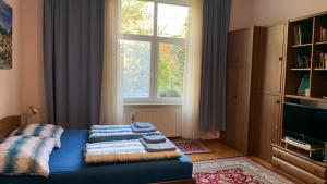 布达佩斯Eliz Apartment的一间卧室配有带毛巾的床