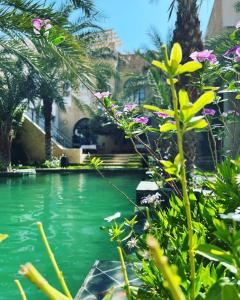 托泽尔Dar Tozeur的棕榈树和鲜花环绕的海水游泳池
