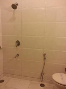 新德里Hotel Arina Inn的带淋浴和卫生间的浴室