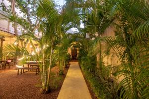 高尔Mango House - Galle Fort的走廊上种植了棕榈树,配有桌椅