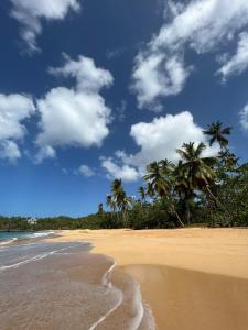 蓬塔卡纳Ducassi Sol Caribe Beach的一片棕榈树和蓝天的沙滩