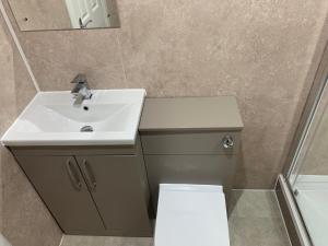 格拉斯哥Ibrox Argyll Sky Suite的一间带水槽、卫生间和镜子的浴室