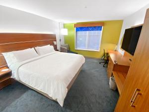 达洛尼加Holiday Inn Express & Suites - Dahlonega - University Area, an IHG Hotel的酒店客房,配有床和电视
