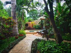 巴利亚多利德卡萨蒂亚米莎酒店的一个带棕榈树砖步道和游泳池的花园