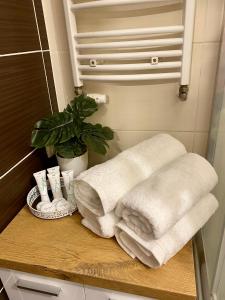马佐夫舍地区新庄园Studio Modlin的浴室的台面上摆放着一堆毛巾
