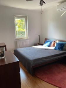 布达佩斯RoseHill Garden Villa的一间卧室配有一张带蓝色枕头的床和一扇窗户。