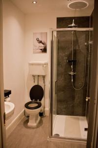 塞特尔The Black Horse Inn的一间带卫生间和玻璃淋浴间的浴室
