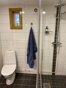 哈尔斯塔哈马Röda huset的浴室设有卫生间和带蓝毛巾的淋浴。