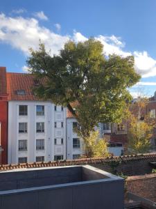 图尔奈Appartement centre ville的建筑物屋顶上的一棵树