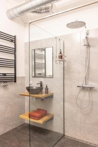 哈莱姆PASSAGE - historic boutique suite的带淋浴和盥洗盆的浴室