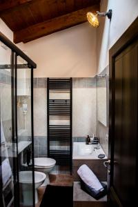 帕武洛内尔夫里尼亚诺B & B CA’ D’ OLINA的一间带水槽、卫生间和淋浴的浴室