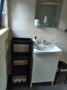 索克莱克Sowi Stok的一间带水槽和镜子的浴室