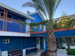 瓜达鲁佩镇Posada Del Valle的前面有棕榈树的蓝色房子