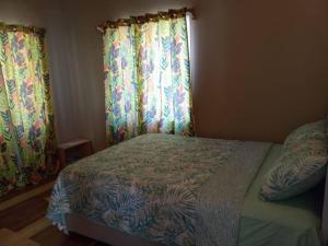 CanouanCozy 2 bedroom beachfront cabin的一间卧室配有床、窗帘和窗户