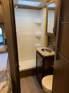 里西达AJ-XL RV Rental的一间带水槽和卫生间的小浴室
