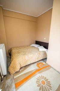 卡拉维塔安纳斯琼酒店的卧室配有两张床,地板上铺有地毯。