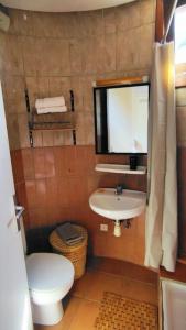 达布阿扎Studio vue sur mer的一间带卫生间和水槽的小浴室