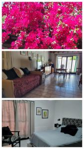 门多萨La casa de Chiqui的卧室两张照片,花粉红色