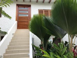 赛姆Vacaciones Playa Club Casa Blanca Same Esmeraldas的楼梯通往带木门的房子
