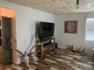 拉顿Valentine's Northern New Mexico Mountain Ranch on Colorado Border retreat的客厅配有电视,地面上设有鹿头。
