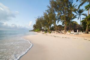 乌罗阿F-Zeen Boutique Hotel Zanzibar的棕榈树和海洋的沙滩