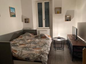 欧赖Escapade dans le Golfe du Morbihan - Studio的一间卧室配有一张床、一张书桌和一台电视