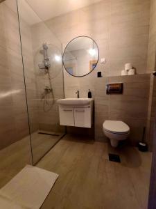查查克Stan na dan Krsmanovic的一间带卫生间、水槽和镜子的浴室
