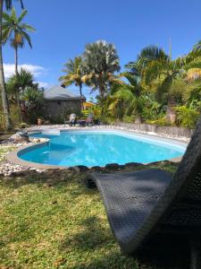 圣若瑟Les Grands Monts的一个带椅子和棕榈树的游泳池