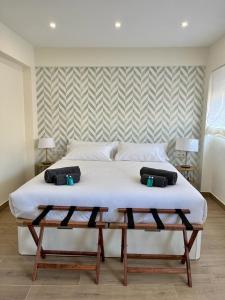 卡塞雷斯Apartamento Turístico Clavellinas IV的一间卧室配有一张大床和两个枕头
