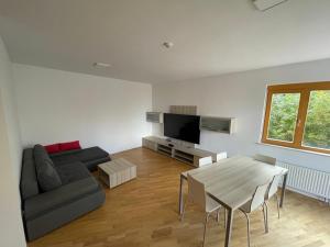 霍茨科波霍尔耶Luxury 3-room large Apartment Maribor Pohorje的客厅配有沙发和桌子