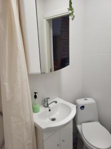 瓦尔加Old Town Apartment nr 2的一间带水槽、卫生间和镜子的浴室