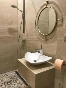 蒂米什瓦拉Belle Vue Ultracentral Apartments的一间带水槽和镜子的浴室