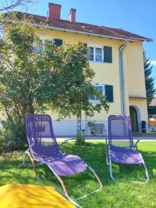 加姆利茨Sternenhimmel Gamlitz FeWo 3 SZ的两把紫色椅子坐在房子前面的草上