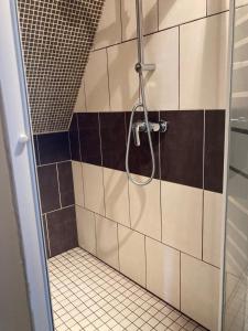 拉弗雷切Chambre Sixtine的浴室铺有黑白瓷砖,设有淋浴。