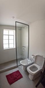 罗萨里奥Hotel Casa Allegra Art Suites的浴室配有卫生间、盥洗盆和淋浴。