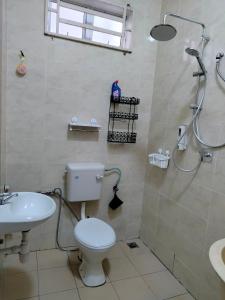 加央MyHomestay07的浴室配有卫生间、盥洗盆和淋浴。
