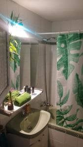 马德里Casita的一间带水槽、镜子和淋浴的浴室