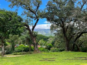 利比里亚瓜齐佩林庄园火山牧场农场酒店及温泉的绿地,有树木和山脉