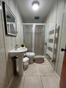 纳塔列斯港Hostal B&B Coastal Natales的带淋浴、盥洗盆和卫生间的浴室
