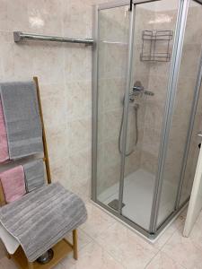 赖沙Hernegg Apartment的带淋浴的浴室