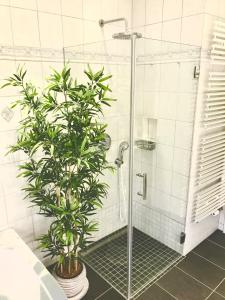 爱尔福特Stadtpark-Oase的浴室里装有植物的淋浴