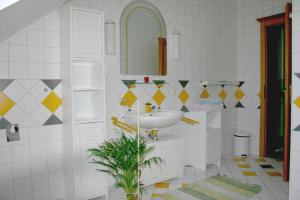 珀劳珀尔特自然公园农场公寓的一间带水槽和镜子的浴室