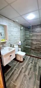 瓦迪拉姆Hasan Zawaideh luxury camp 2的浴室配有卫生间、盥洗盆和淋浴。