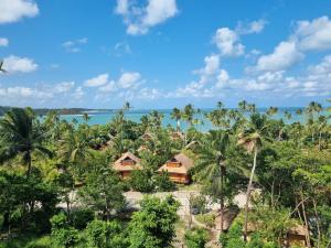 塔曼达雷Flat Eco Resort-Praia dos Carneiros的享有棕榈树和海洋度假村的空中景致