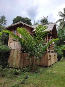 库德岛Kuba Bungalows的竹屋前有植物