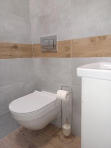比亚韦斯托克APARTAMENTY CENTRUM Lipowa 16的浴室配有白色卫生间和盥洗盆。