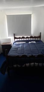 派桑杜APARTAMENTO céntrico Para 5 PERSONAS的一间卧室配有一张带蓝色棉被的床