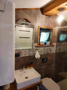 维斯瓦Willa Pod Bukami的一间带水槽、卫生间和镜子的浴室